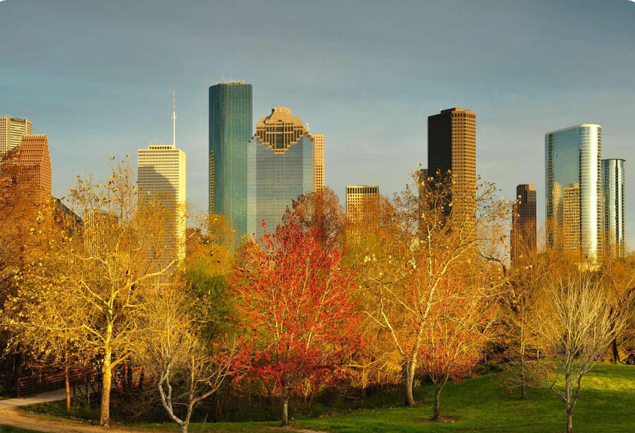 An iconic view of the Houston, Texas downtown skyline in bright daylight, taken from the vantage point of the Buffalo Bayou. The image showcases the multicolored trees lining the banks of the Bayou in the fall.
