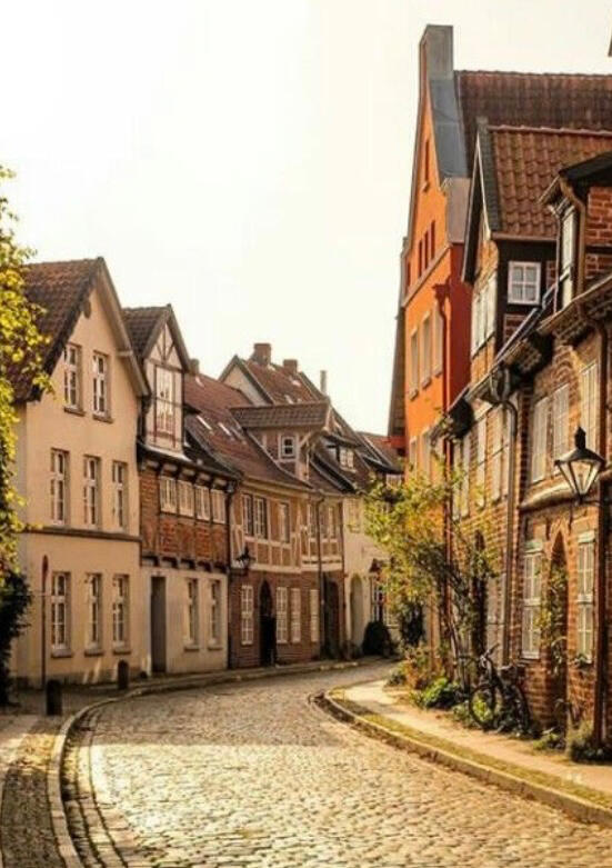 European village row houses on a curving cobblestone street