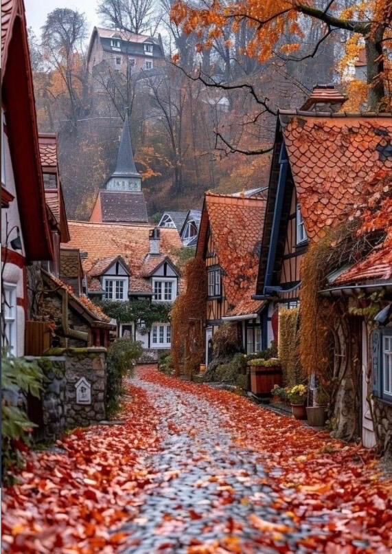 European mountain village cottages align a cobblestone street, which is full of fire-orange autumn leaves that match the shingles of steep rooftops .