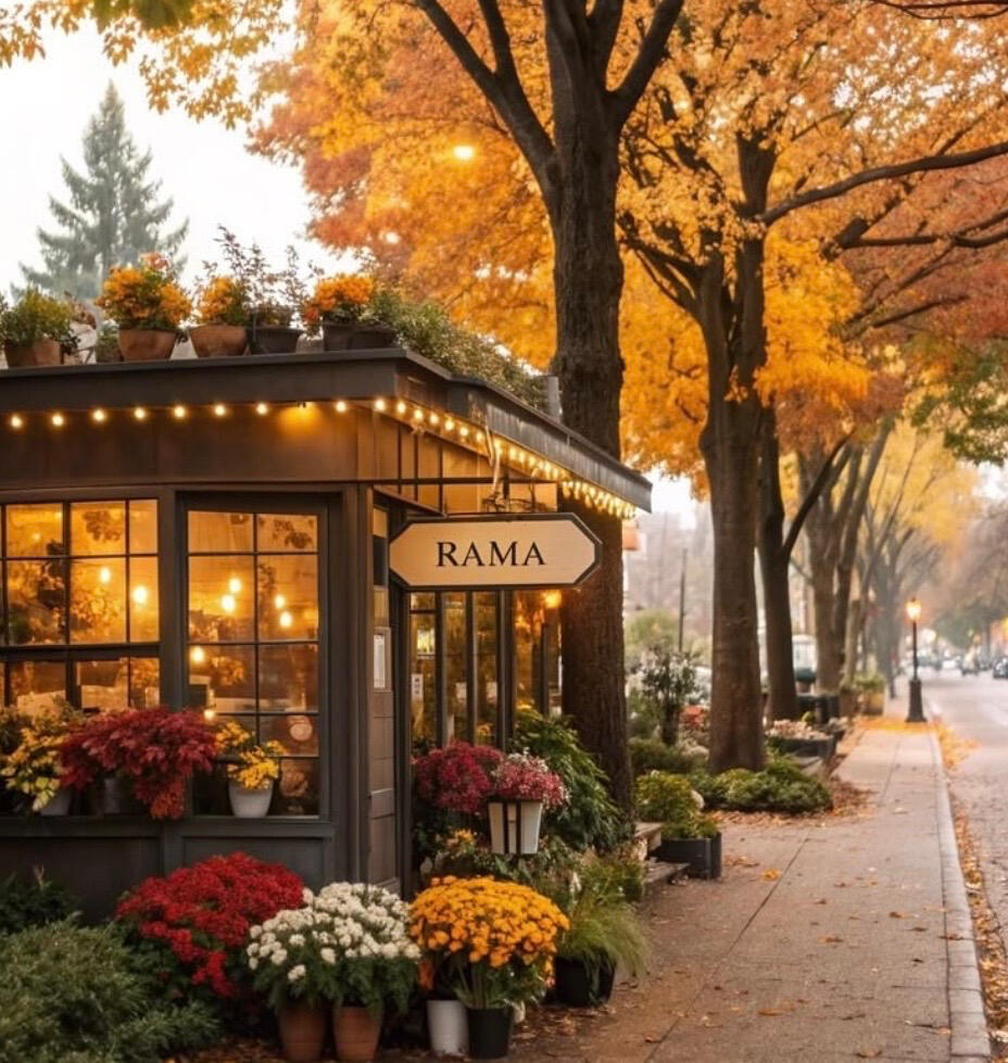 A quaint coffee shop with a black roof and large window panes take up most of the frame. Inside, overhead pendant lights glow warmly above tables and chairs. Pots of mums and yellow leafed trees outside yell “fall!” A sidewalk and street run in front.